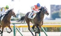 【きさらぎ賞予想】クラシックにつながる重要な一戦、成長著しいあの馬に期待