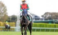 【京都記念想定騎手】ユーバーレーベンはM.デムーロ騎手、レッドジェネシスは藤岡康太騎手
