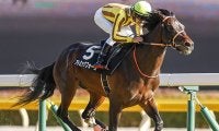 【先週のJRA抹消馬】2020年アメジストS覇者アトミックフォース、メートルダールの半妹トゥルーアートなど