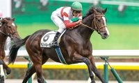 【共同通信杯展望】出世の登竜門、あの馬の重賞制覇を期待したい