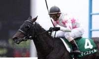 【JRA】マイスタイルが引退　馬事公苑で乗馬に