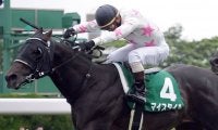 マイスタイルが競走馬登録抹消