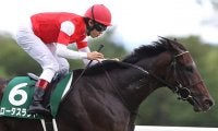 【京都牝馬S想定】昨夏のマイル王ロータスランド、リステッド2勝ドナウデルタなど18頭