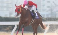 【名古屋・スプリングC結果】アップテンペストが逃げ切って重賞連勝