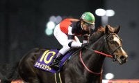 【次走】ドライスタウトは兵庫CSを視野に　無傷3連勝で全日本2歳優駿制覇