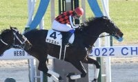 【次走】2億5000万馬デシエルトは若葉Sで芝初挑戦