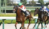 【ダイヤモンドS出走馬・騎手確定】ヴェローチェオロ＆戸崎圭太騎手、レクセランス＆横山武史騎手など14頭