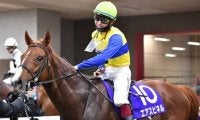 フェブラリーＳは本命不在の大混戦。年齢不安ない９歳馬が得意舞台で大激走の気配