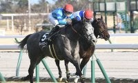 【阪急杯想定騎手】グレイイングリーンは岩田望来騎手、クリノガウディーは福永祐一騎手