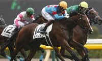 【先週のJRA抹消馬】京都牝馬Sで予後不良のビッククインバイオ、スワーヴリチャードの半妹ルナシオンなど