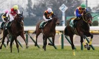 【ダイヤモンドS】テーオーロイヤルが4連勝で重賞初制覇