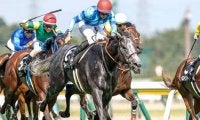 【阪急杯出走馬・騎手確定】グレイイングリーン＆岩田望来騎手、クリノガウディー＆福永祐一騎手など14頭