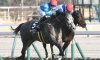 【阪急杯枠順確定】グレイイングリーンは7枠12番、クリノガウディーは8枠14番