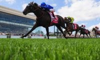 【海外競馬／サウジカップデー】「ルメール祭り」で日本馬V4、ステイフーリッシュやダンシングプリンスが躍動