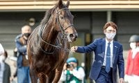 【JRA】藤沢和雄厩舎からの転厩馬一覧、46頭中33頭が蛯名正義厩舎へ