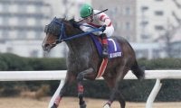 【名古屋・若草賞結果】高知のアンティキティラが人気に応えて重賞連勝