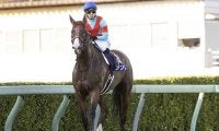 【オーシャンS想定騎手】ビアンフェは藤岡佑介騎手、ナランフレグは丸田恭介騎手