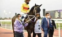 【次走】コパノキッキングはビュイック騎手でドバイゴールデンシャヒーンへ