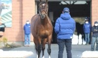 【海外競馬】ディープインパクト、モーリス産駒が豪ギニーで1・2番人気に