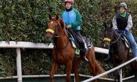 【JRA】今週デビューを迎える新人騎手の騎乗馬一覧　今村聖奈騎手は10鞍、大久保友雅騎手は6鞍など　