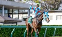 【中山牝馬S想定騎手】テルツェットは田辺裕信騎手、ミスニューヨークはM.デムーロ騎手