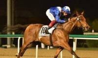 【ドバイターフ】昨年覇者ロードノースが連覇をかけて出走へ