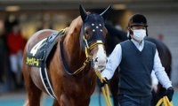 【金鯱賞出走馬・騎手確定】ジャックドール＆藤岡佑介騎手、レイパパレ＆川田将雅騎手など13頭