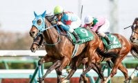 【中山牝馬S枠順確定】ミスニューヨークは2枠3番、テルツェットは5枠9番