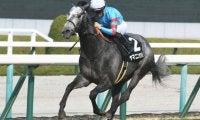 【フィリーズレビュー予想】近年と違い今年は好位で立ち回れる馬が優位か/万哲の馬場予報