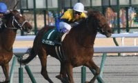 【次走】ルビーカサブランカは福島牝馬Sへ 今年の愛知杯で重賞初制覇