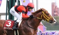 【金鯱賞】藤岡佑「いつもより苦しい感じ」ジャックドールが5連勝