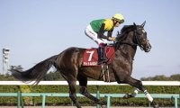 【日経賞想定騎手】タイトルホルダーは横山和生騎手、アサマノイタズラは横山武史騎手