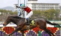 【次走】無傷3連勝中デシエルトは岩田康誠騎手とのコンビで皐月賞へ