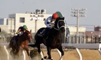 【2022ドバイワールドカップデー】日本馬の近況（3月23日）
