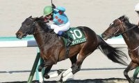 高松宮記念を血統面から分析。ＧⅠ初勝利を狙う７歳馬と、レース相性がいい牝馬が魅力的