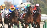 【2022ドバイワールドカップデー】日本馬の近況（3月24日）