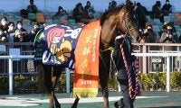【ダービー卿CT想定】京都金杯など重賞2勝ザダル、東風Sで待望の勝利あげたボンセルヴィーソなど17頭