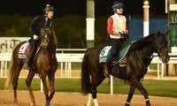 【ドバイWCデー】メイダン競馬場の馬場状態は芝ダートとも良