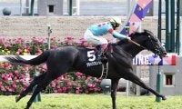 【大寒桜賞】ブラックブロッサムが圧勝！デビュー2連勝