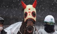 【大井・京浜盃】プライルードは7枠8番、メンタイマヨは8枠10番/地方競馬枠順