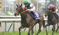 【大阪杯】いざ連覇へレイパパレ 牝系血統に眠る日本競馬の歴史 