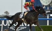 ドバイ遠征の日本馬21頭が帰国、クラウンプライドはアメリカ遠征へ