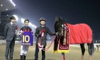 【次走】3連勝中のドライスタウトは引き続き戸崎騎手と兵庫CSへ 昨年の全日本2歳優駿覇者