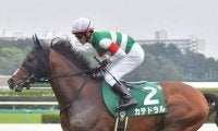 【ダービー卿CT出走馬・騎手確定】カテドラル＆戸崎圭太騎手、ザダル＆田辺裕信騎手など16頭