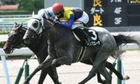 【次走】愛知杯2着馬マリアエレーナは新潟大賞典へ 叔父にダービー馬ワグネリアン