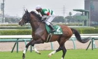【ダービー卿CT枠順確定】カテドラルは8枠15番、ザダルは4枠7番