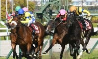 【阪神牝馬S想定】秋華賞覇者アカイトリノムスメ、ローズS覇者アンドヴァラナウトなど10頭