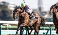 【ダービー卿CT予想】過去10年で4・5番人気馬が6勝、中波乱傾向の一戦