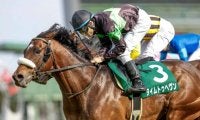 【ダービー卿CT】ハーツクライ牝馬と好相性のロードカナロア産駒がV JRA重賞6勝目で全種牡馬でトップに！