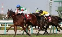 桜花賞の行方を占う「３歳牝馬ランキング」。上位５頭の実力を分析